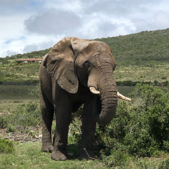 Closing Closet Sale!! Offers and Bundles Welcome! Please share! - Picture 3 of 3